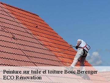 Peinture sur tuile et toiture  bosc-berenger-76680 ECO Rénovation