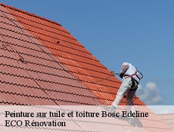 Peinture sur tuile et toiture  bosc-edeline-76750 ECO Rénovation