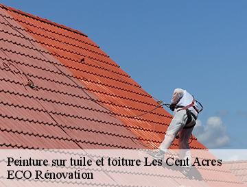 Peinture sur tuile et toiture  les-cent-acres-76590 ECO Rénovation