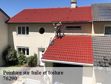 Peinture sur tuile et toiture  fontenay-76290 ECO Rénovation