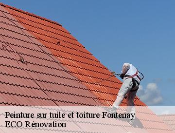 Peinture sur tuile et toiture  fontenay-76290 ECO Rénovation