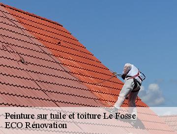 Peinture sur tuile et toiture  le-fosse-76440 ECO Rénovation