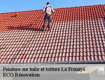 Peinture sur tuile et toiture  la-frenaye-76170 ECO Rénovation