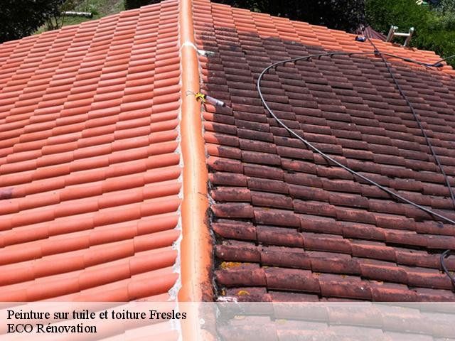Peinture sur tuile et toiture fresles-76270 Entreprise WP