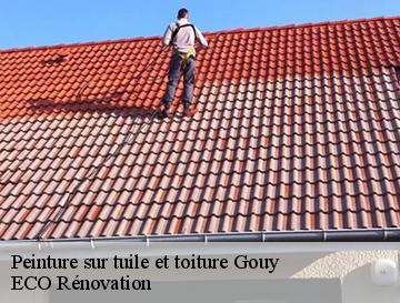 Peinture sur tuile et toiture  gouy-76520 ECO Rénovation