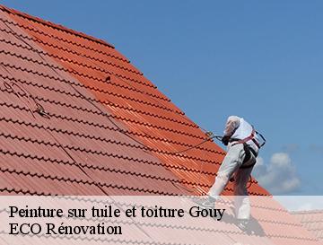 Peinture sur tuile et toiture  gouy-76520 ECO Rénovation