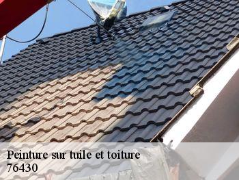 Peinture sur tuile et toiture  graimbouville-76430 RS couvreur 76