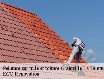 Peinture sur tuile et toiture  grainville-la-teinturiere-76450 ECO Rénovation