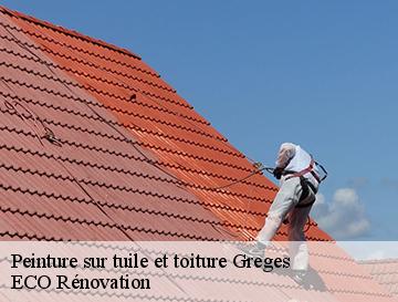 Peinture sur tuile et toiture  greges-76370 ECO Rénovation