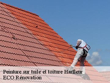 Peinture sur tuile et toiture  harfleur-76700 ECO Rénovation