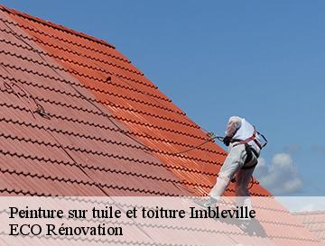 Peinture sur tuile et toiture  imbleville-76890 ECO Rénovation