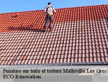 Peinture sur tuile et toiture  malleville-les-gres-76450 ECO Rénovation