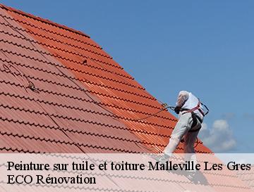 Peinture sur tuile et toiture  malleville-les-gres-76450 ECO Rénovation