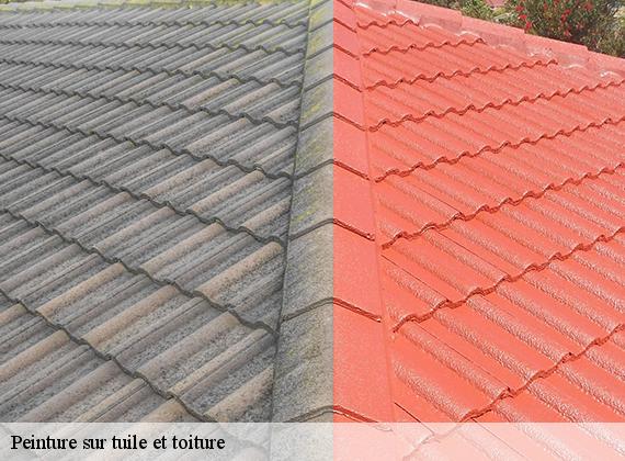 Peinture sur tuile et toiture  malleville-les-gres-76450 ECO Rénovation