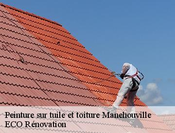 Peinture sur tuile et toiture  manehouville-76590 ECO Rénovation
