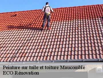 Peinture sur tuile et toiture  maucomble-76680 ECO Rénovation