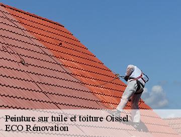 Peinture sur tuile et toiture  oissel-76350 ECO Rénovation