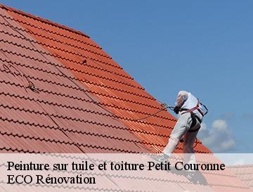 Peinture sur tuile et toiture  petit-couronne-76650 ECO Rénovation