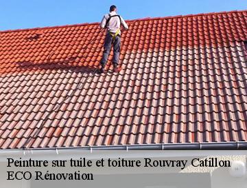 Peinture sur tuile et toiture  rouvray-catillon-76440 ECO Rénovation
