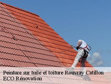 Peinture sur tuile et toiture  rouvray-catillon-76440 ECO Rénovation