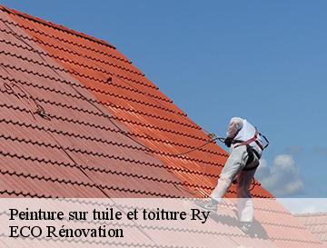 Peinture sur tuile et toiture  ry-76116 ECO Rénovation