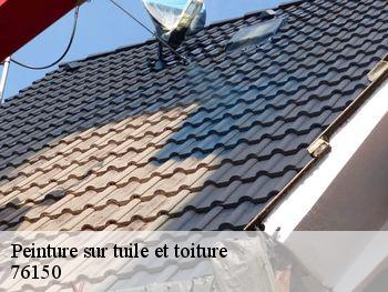 Peinture sur tuile et toiture  saint-jean-du-cardonnay-76150 RS couvreur 76