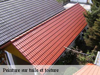 Peinture sur tuile et toiture  saint-martin-du-bec-76133 RS couvreur 76