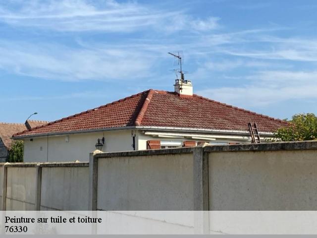 Peinture sur tuile et toiture  saint-maurice-d-etelan-76330 RS couvreur 76