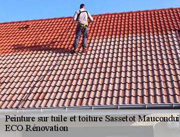 Peinture sur tuile et toiture  sassetot-mauconduit-76540 ECO Rénovation