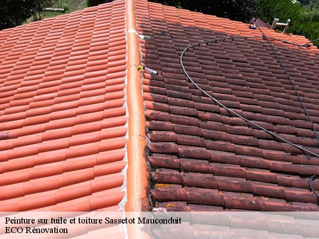 Peinture sur tuile et toiture sassetot-mauconduit-76540 Entreprise WP
