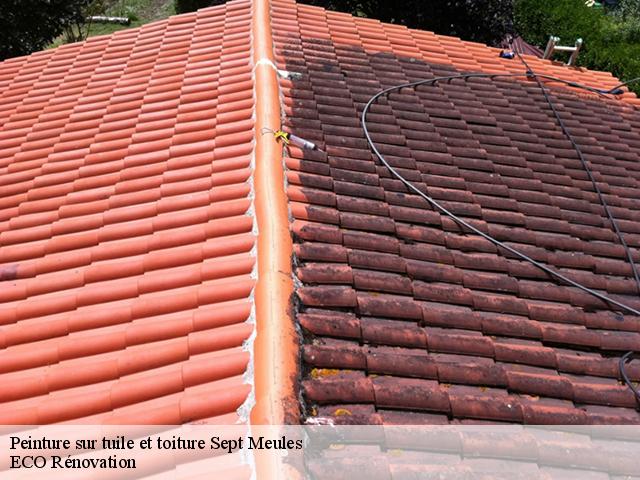 Peinture sur tuile et toiture sept-meules-76260 Entreprise WP