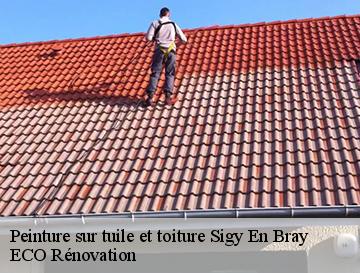Peinture sur tuile et toiture  sigy-en-bray-76780 ECO Rénovation