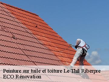 Peinture sur tuile et toiture  le-thil-riberpre-76440 ECO Rénovation