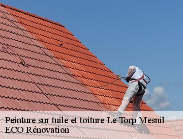 Peinture sur tuile et toiture  le-torp-mesnil-76560 ECO Rénovation