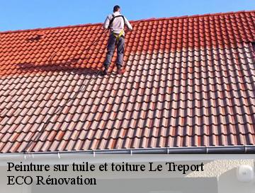 Peinture sur tuile et toiture  le-treport-76470 ECO Rénovation