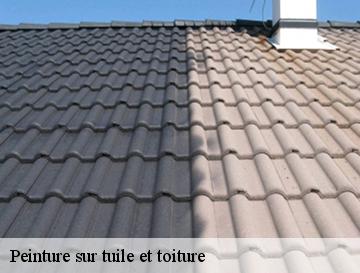Peinture sur tuile et toiture  le-treport-76470 ECO Rénovation