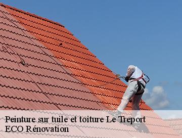 Peinture sur tuile et toiture  le-treport-76470 ECO Rénovation