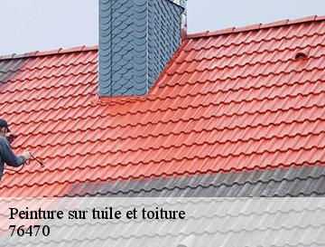 Peinture sur tuile et toiture  le-treport-76470 ECO Rénovation