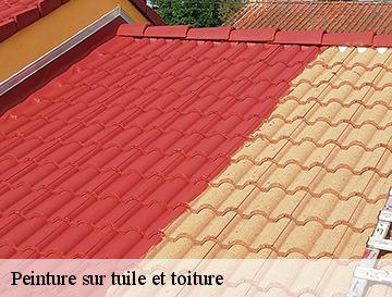 Peinture sur tuile et toiture  le-treport-76470 ECO Rénovation