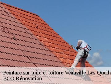 Peinture sur tuile et toiture  veauville-les-quelle-76560 ECO Rénovation
