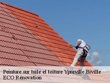 Peinture sur tuile et toiture  ypreville-biville-76540 ECO Rénovation