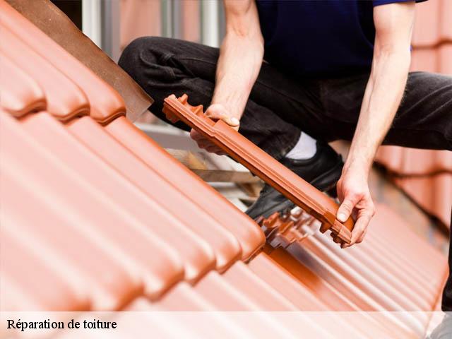 Réparation de toiture  anquetierville-76490 Entreprise WP