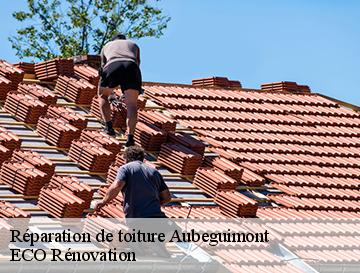 Réparation de toiture  aubeguimont-76390 ECO Rénovation