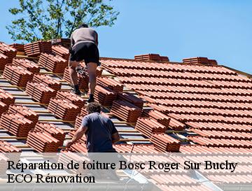 Réparation de toiture  bosc-roger-sur-buchy-76750 ECO Rénovation