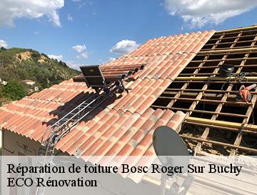 Réparation de toiture  bosc-roger-sur-buchy-76750 ECO Rénovation