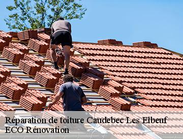 Réparation de toiture  caudebec-les-elbeuf-76320 ECO Rénovation