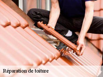 Réparation de toiture  duclair-76480 RS couvreur 76
