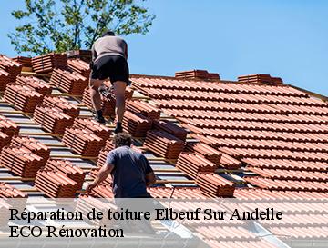 Réparation de toiture  elbeuf-sur-andelle-76780 ECO Rénovation