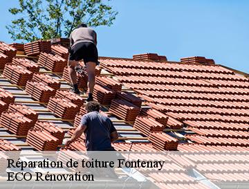 Réparation de toiture  fontenay-76290 ECO Rénovation