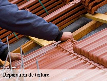 Réparation de toiture  fontenay-76290 ECO Rénovation